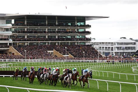 cheltenham race odds